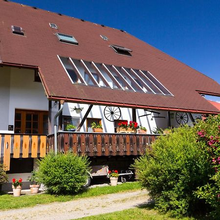 Ferienwohnung Jasmin Виден Экстерьер фото